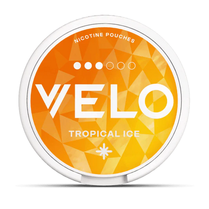 Velo nicotine pouches container with 'Tropical ice' flavor on a white background.
