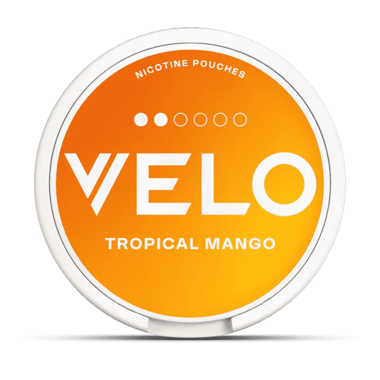 Velo nicotine pouches container with 'Tropical Mango' flavor on a white background.