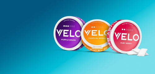 Three containers of Velo nicotine pouches with different flavors: Purple Grape, Tropical Mango, Ruby Berry on a blue background.